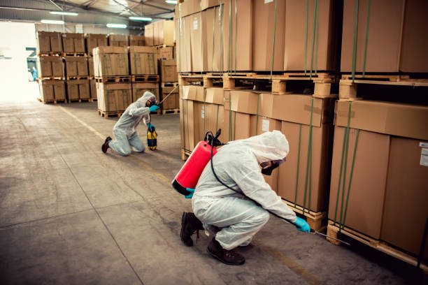Best Cockroach Control Services  in Dora, AL