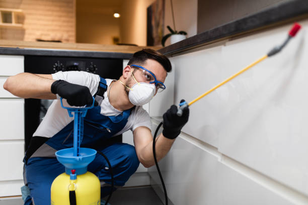 Best Termite Control Services  in Dora, AL
