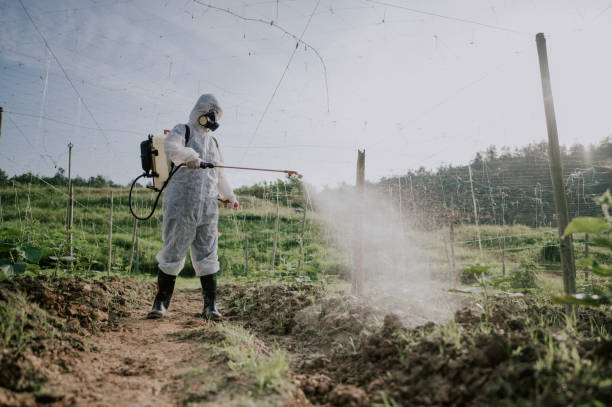 Best Affordable Pest Control Services  in Dora, AL