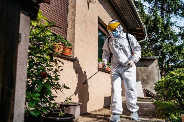 Best Mosquito Control Services  in Dora, AL