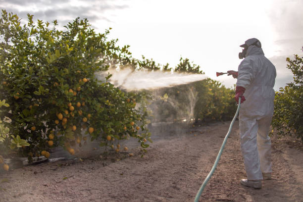 Pest Prevention Services in Dora, AL