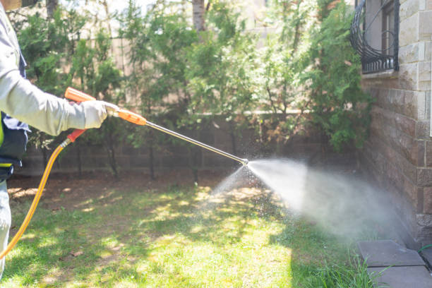Best Pest Control for Homes  in Dora, AL