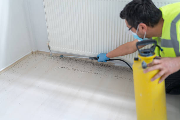 Best Emergency Pest Control  in Dora, AL